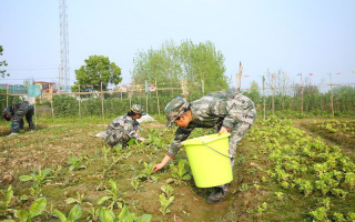 舟山市岱山青少年叛逆封闭管理学校（可到校免费参观）