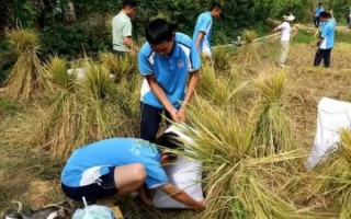 阜阳市颍州少年厌学叛逆封闭学校