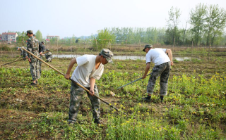 铜陵市义安区戒除网瘾学校（可视频参观学校）